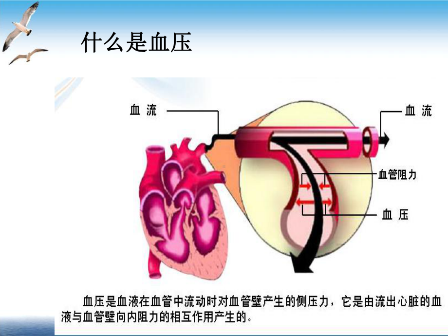 高血压防治及合理用药课件1.ppt_第2页