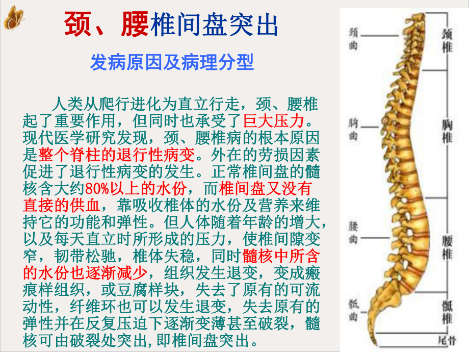 颈腰椎病范例培训课件.pptx_第3页