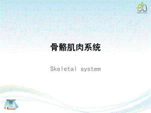 骨关节正常基本病变课件.ppt