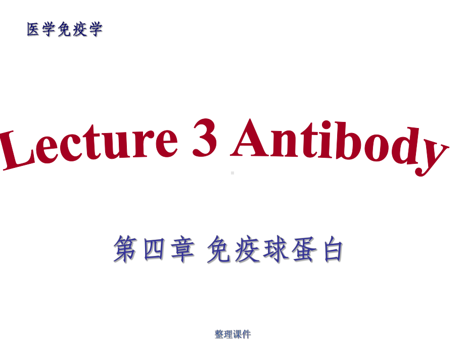 《医学免疫学教学》03-antibody课件.ppt_第1页