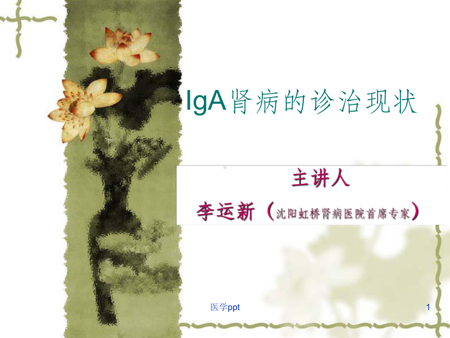 iga肾病诊治现状课件.ppt_第1页