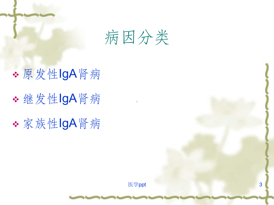 iga肾病诊治现状课件.ppt_第3页