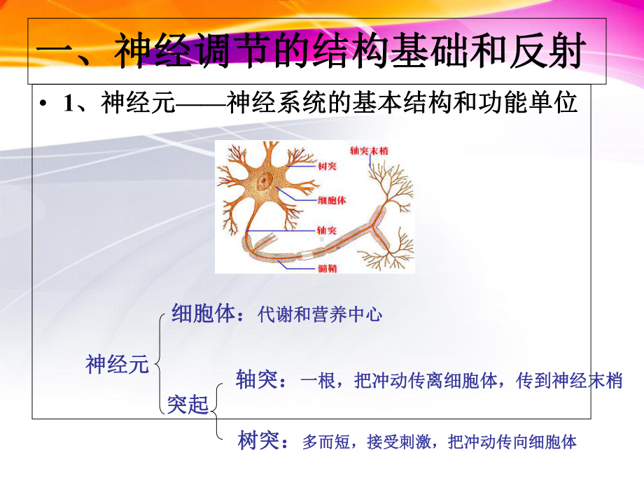 通过神经系统的调节26-人教课标版课件.ppt_第2页