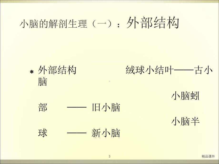 小脑定位诊断及疾病课件.ppt_第3页