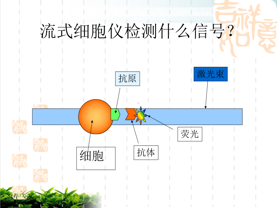 流式细胞的原理及临床应用课件.pptx_第3页