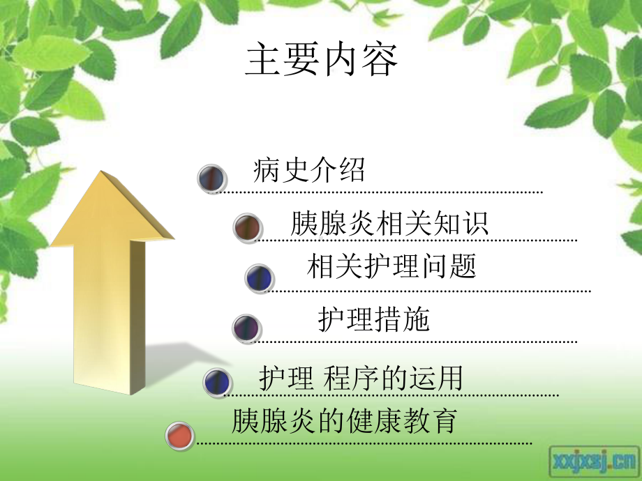 急性胰腺炎护理查房2课件.ppt_第2页