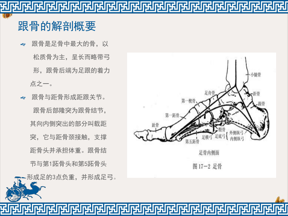 跟骨骨折的护理课件.pptx_第1页