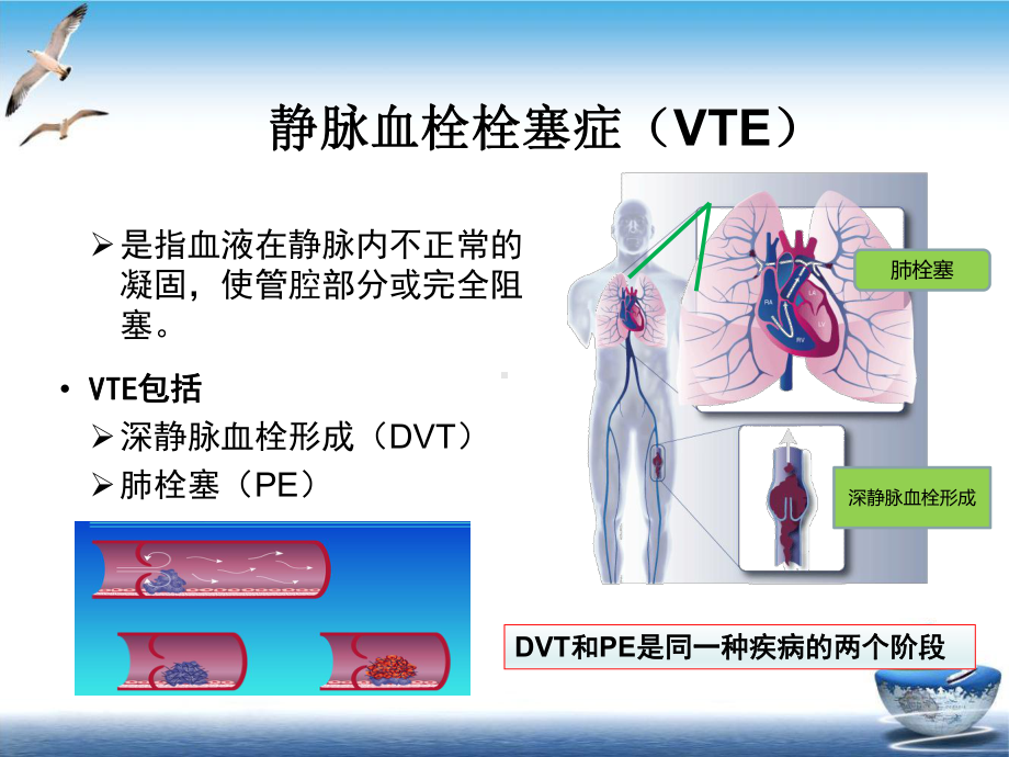 静脉血的预防及护理教学课件.ppt_第2页