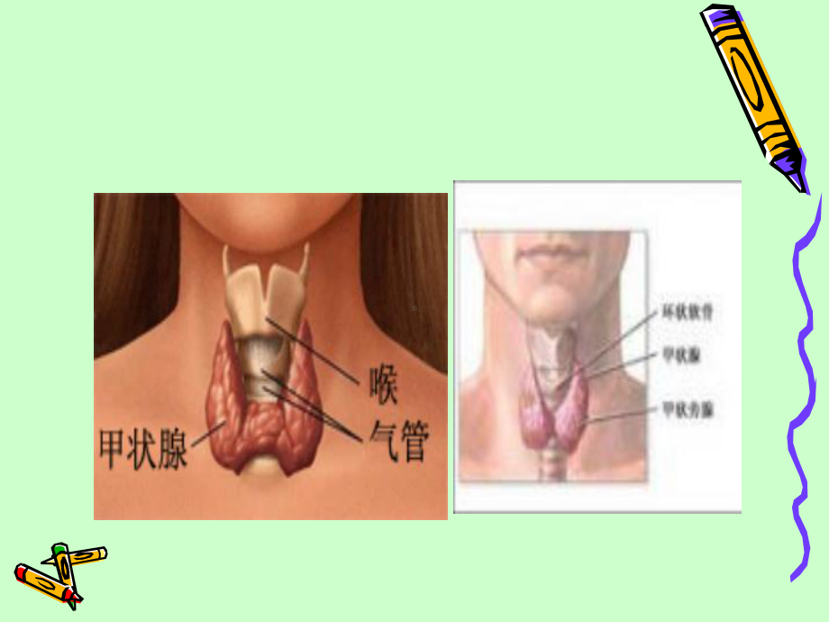 颈部疾病病人的护理(同名216)课件.ppt_第3页