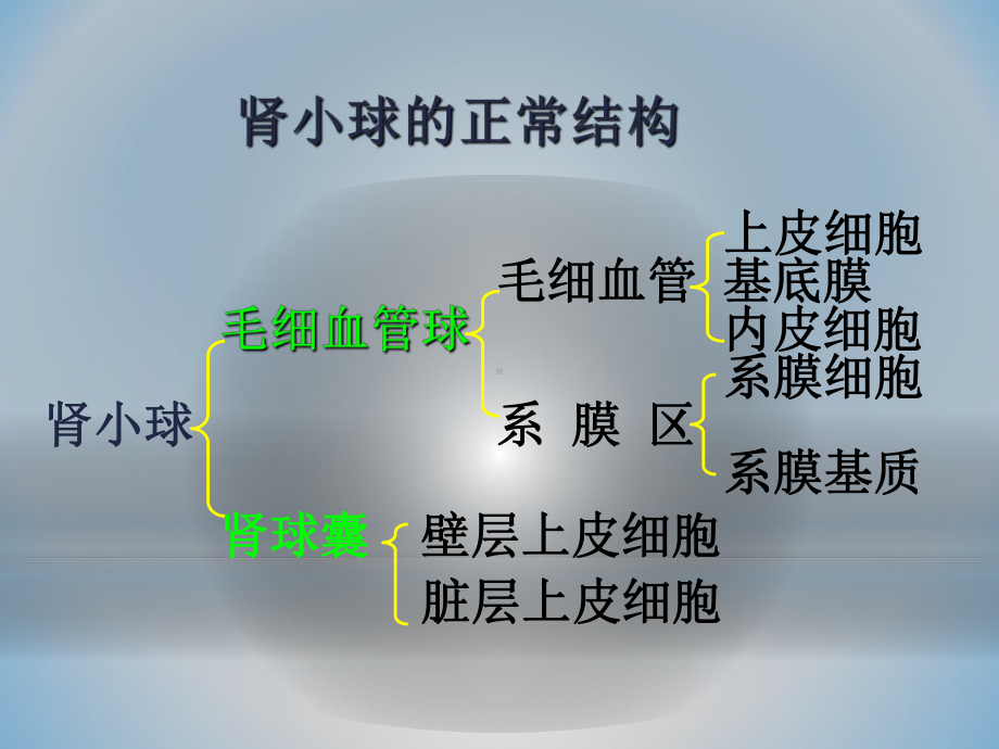 本科康护泌尿课件.ppt_第3页