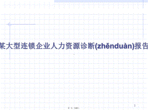 某大型连锁企业人力资源诊断报告课件.pptx