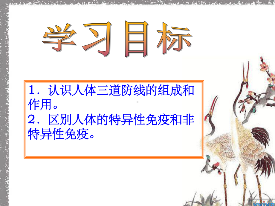 初二生物免疫与计划免疫课件.ppt_第3页