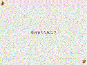 踝关节与足运动学课件(同名133).ppt