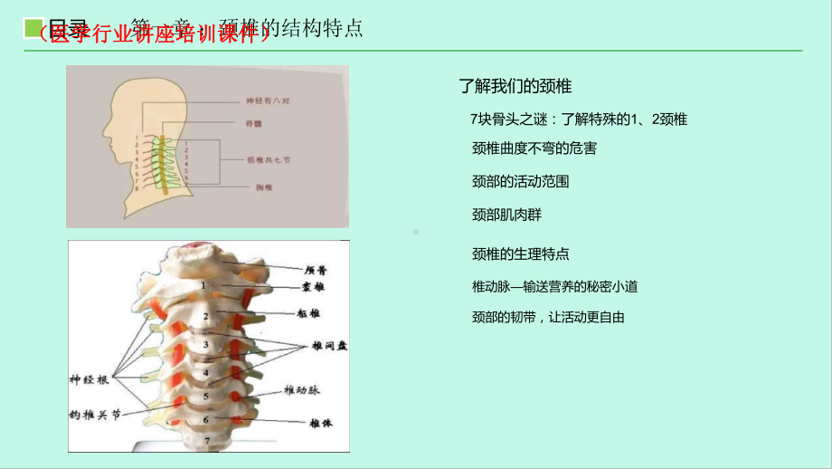 颈椎的康复护理(医学行业讲座培训课件).pptx_第3页