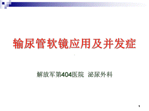 输尿管软镜应用及并发症课件.ppt