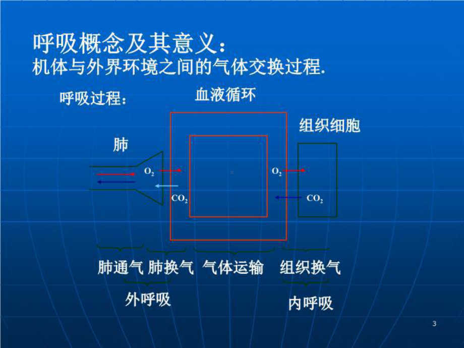 最新呼吸生理与机械通气的应用课件.ppt_第3页