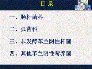 革兰阴性需氧和兼性厌氧杆菌检验标准课件.pptx