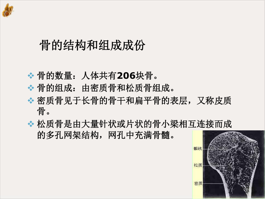 骨质疏松症培训课件.ppt_第2页