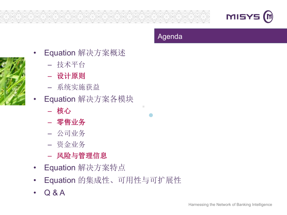 Misys-核心产品介绍课件.ppt_第2页