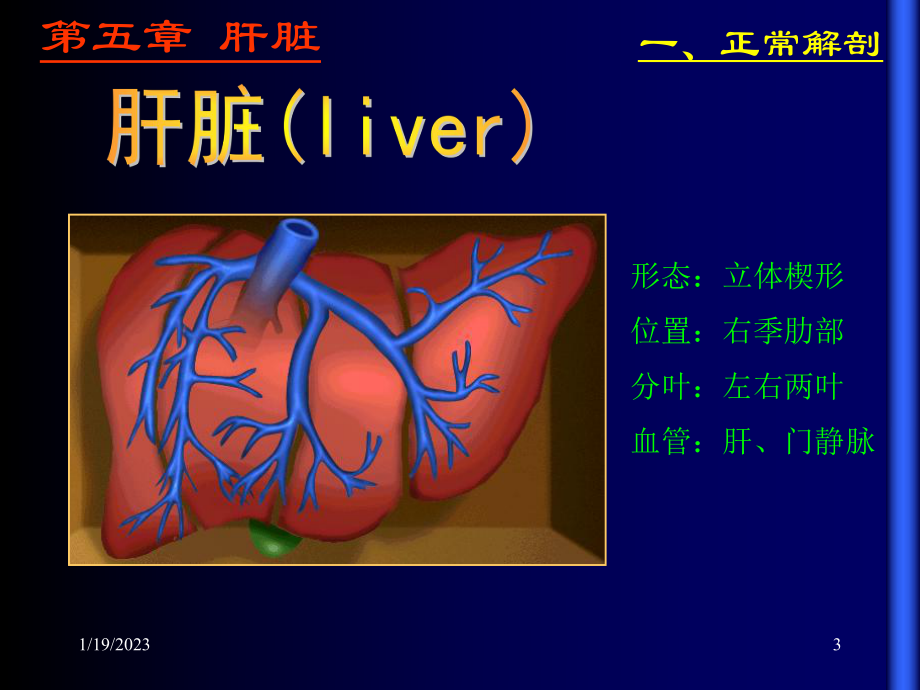 超声诊断学-肝脏课件.ppt_第3页