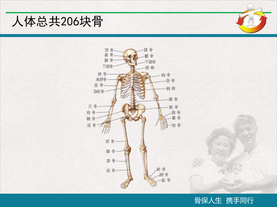 骨质疏松患者教育课件.pptx_第1页