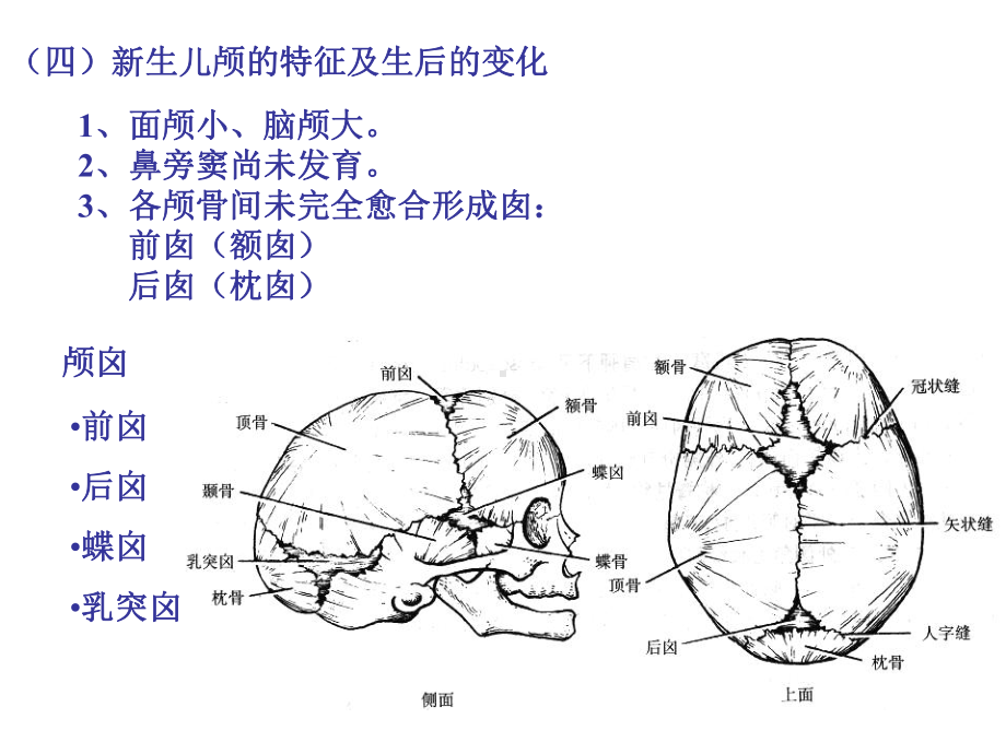 颅脑影像解剖与病变3课件.ppt_第3页