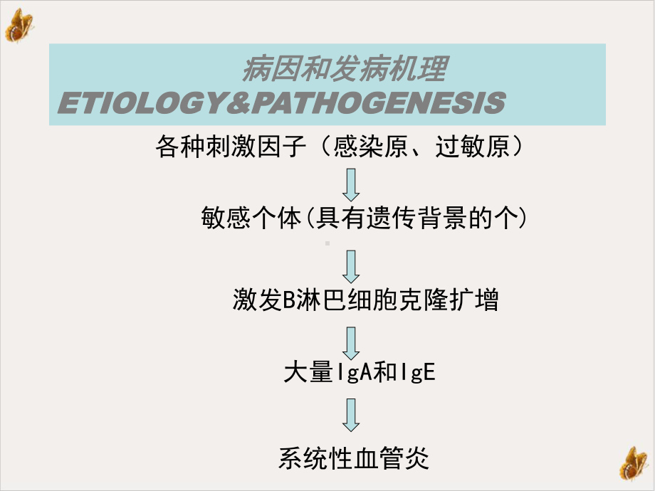 过敏性紫癜个人整理ppt课件.pptx_第3页