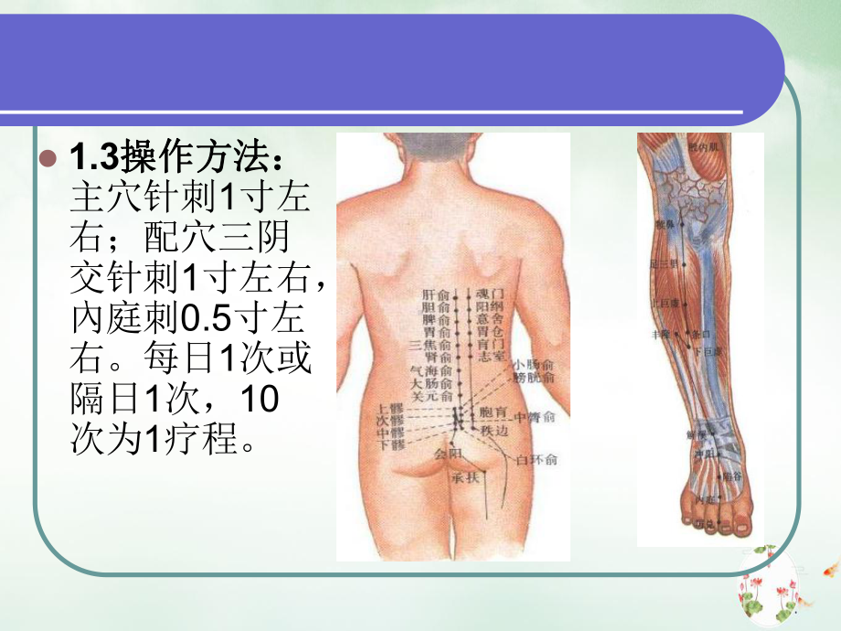 针灸治疗胃肠病课件.pptx_第2页