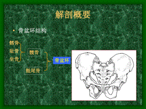 骨科骨盆骨折分类课件.pptx