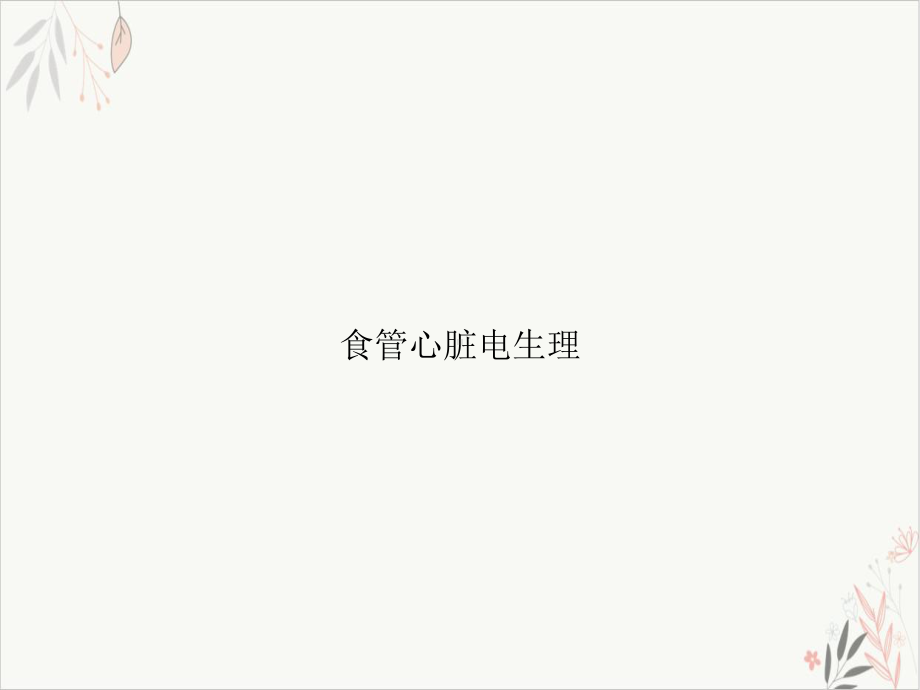 食管心脏电生理课件整理.ppt_第1页