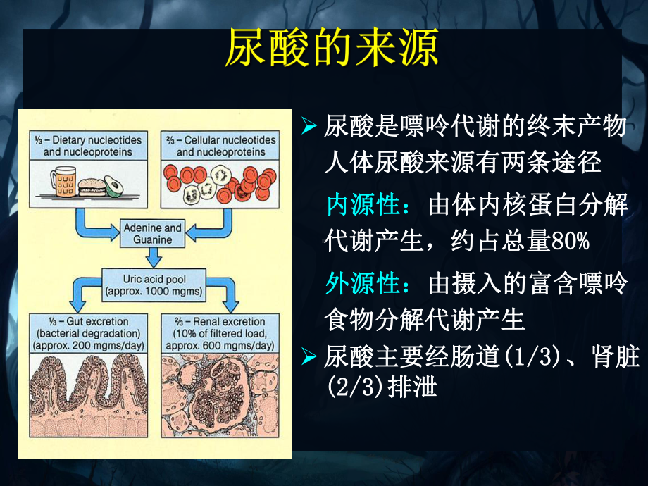 高尿酸血症及其肾损伤课件.pptx_第2页