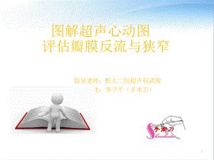 图解超声心动图评估瓣膜反流程度(同名1146)课件.ppt