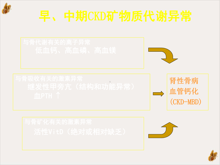 骨化三醇在慢性肾脏病中应用进展实用课件.pptx_第2页