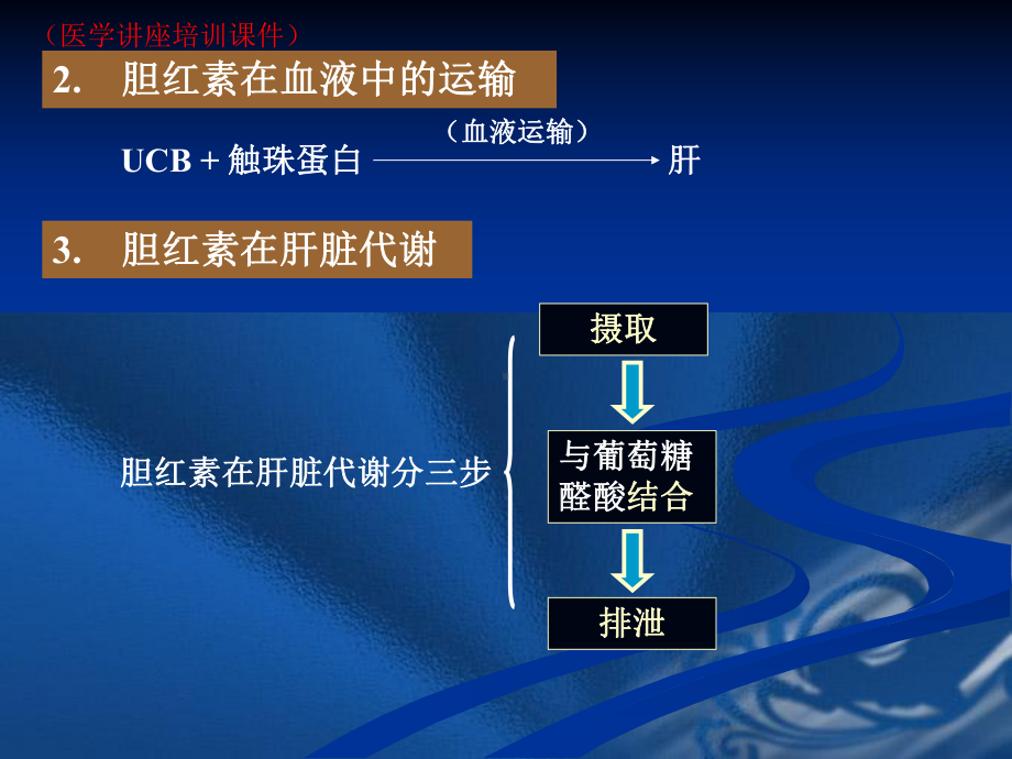 黄疸(医学讲座培训课件).ppt_第3页