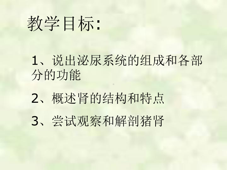 人体泌尿系统的组成及功能课件.ppt_第2页