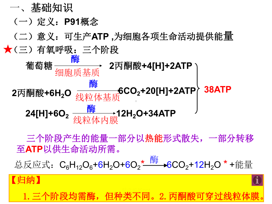 一轮复习完整-呼吸作用课件.ppt_第2页