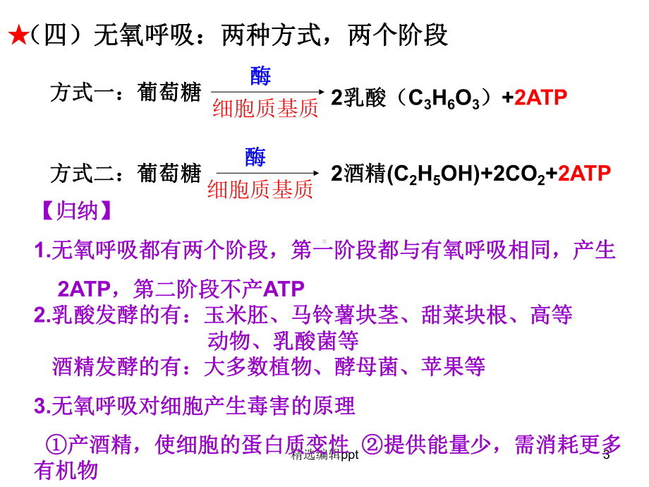 一轮复习完整-呼吸作用课件.ppt_第3页