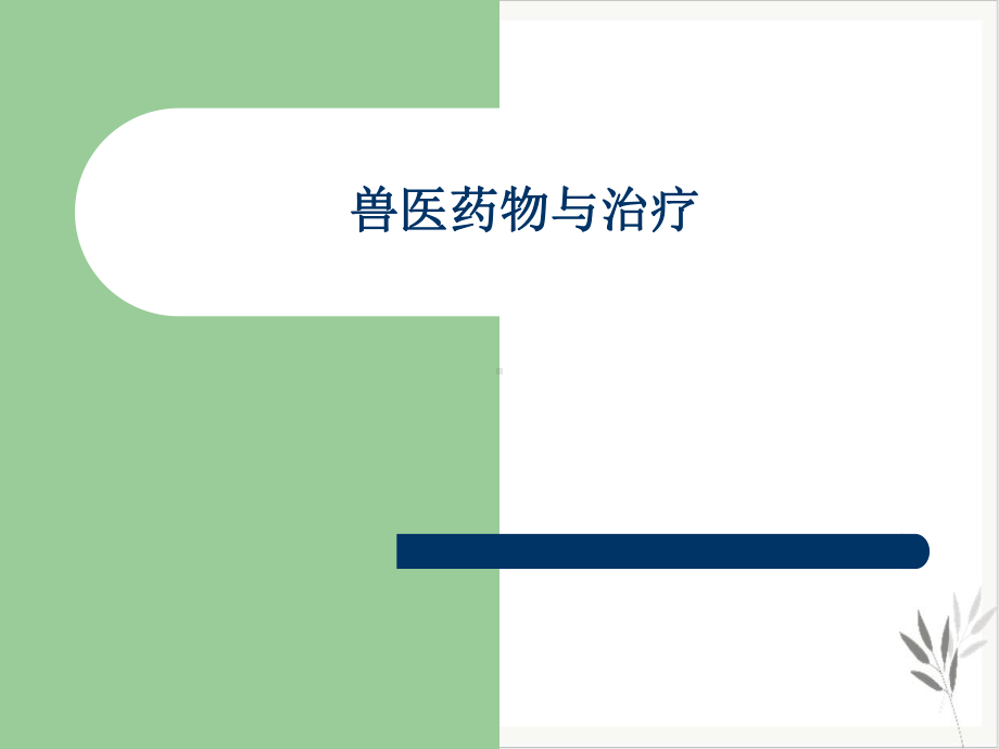 兽医药物与治疗课件.ppt_第1页