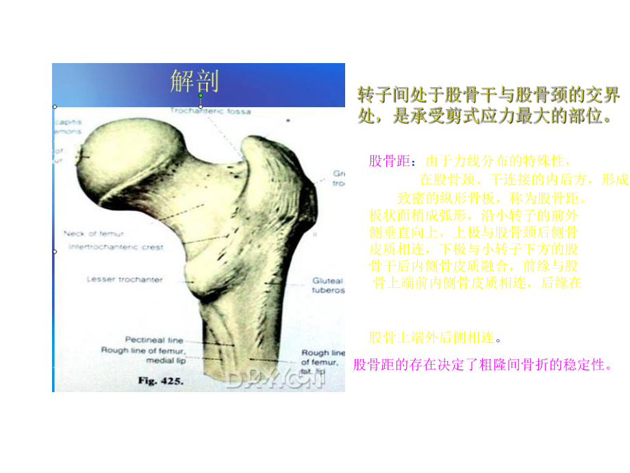 人工关节置换术课件.ppt_第1页