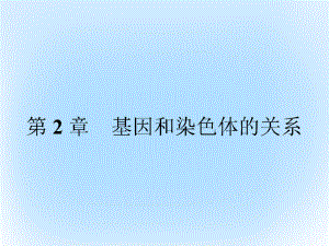 高中生物第2章基因和染色体的关系第1节减数分裂和受精作用课件新人教版必修2.ppt