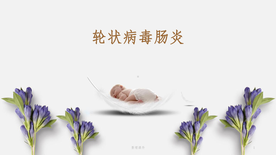 轮状病毒肠炎基本诊疗课件.pptx_第1页