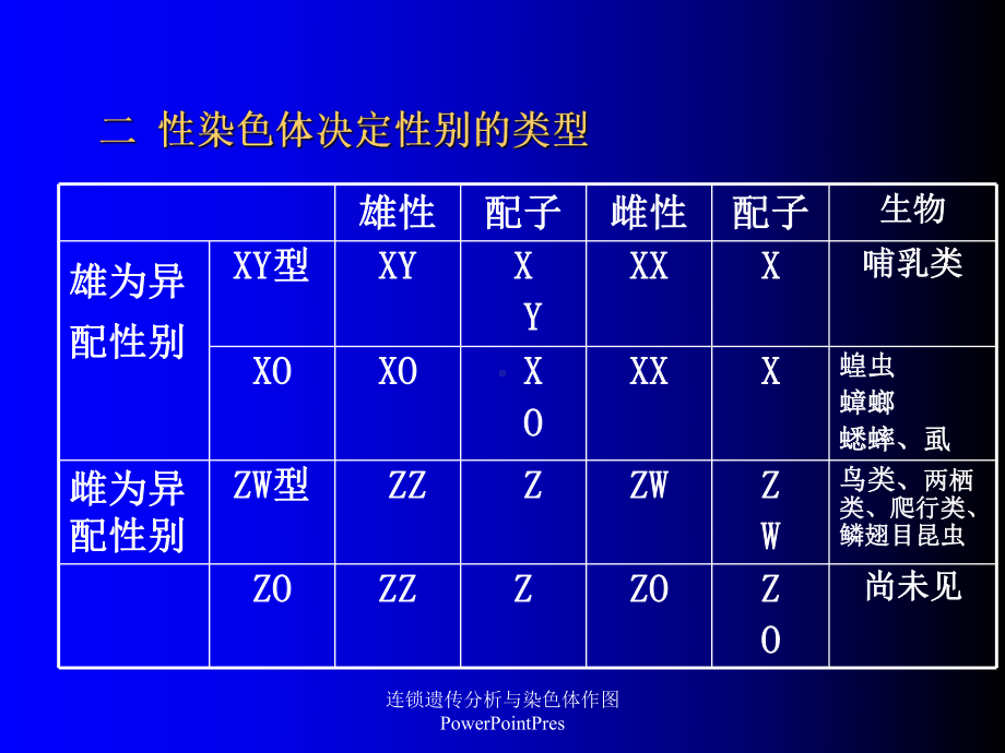 连锁遗传分析与染色体作图PowerPointPres课件.ppt_第3页