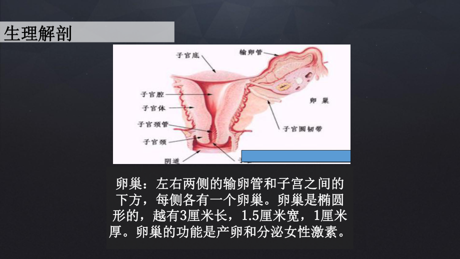 卵巢癌根治手术配合课件.ppt_第3页