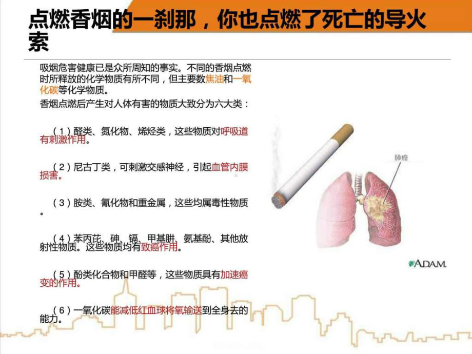 《无烟校园》课件.ppt_第3页