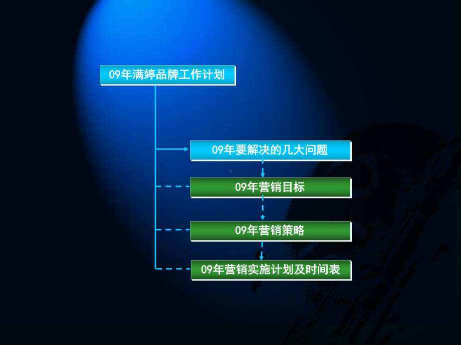 满婷品牌营销规划及执行课件.pptx_第2页