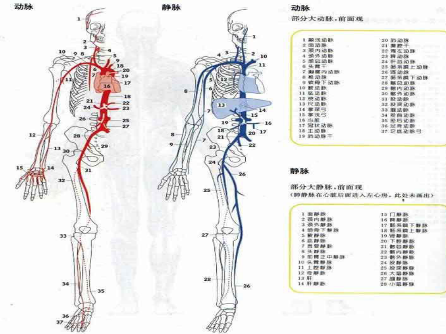 高血压防治知识演讲稿课件.ppt_第3页