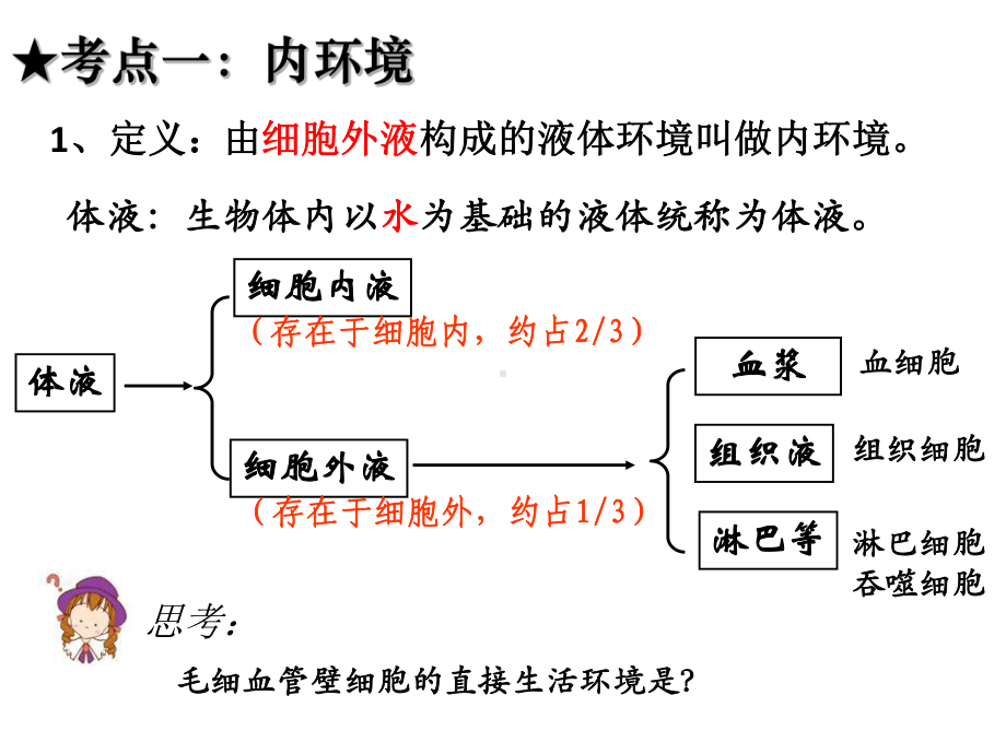 内环境与稳态(复习)课件.ppt_第2页