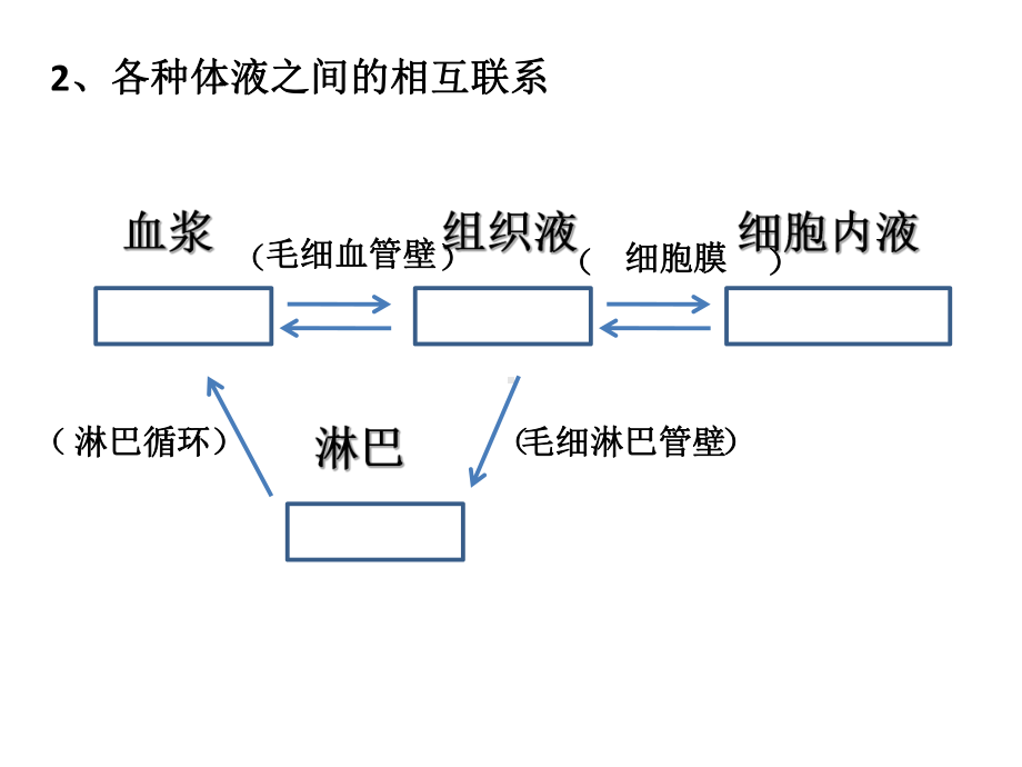 内环境与稳态(复习)课件.ppt_第3页