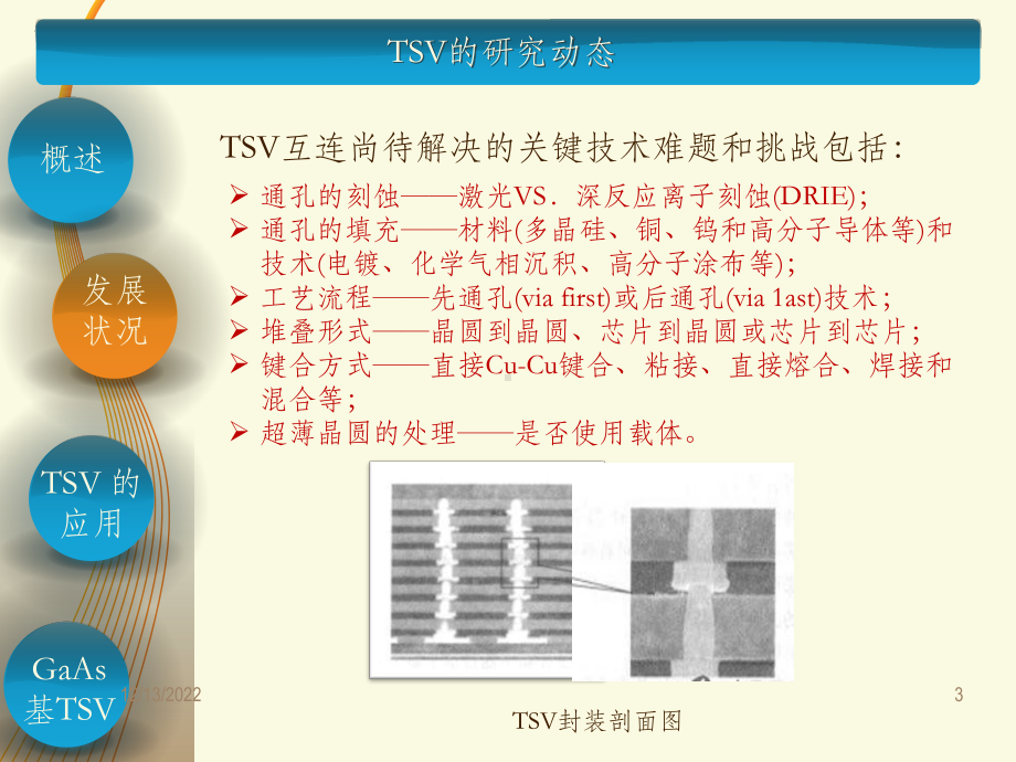 硅通孔技术TSV研究课件.ppt_第3页