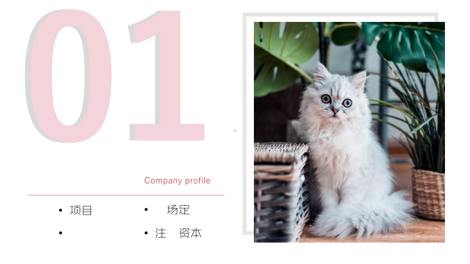 猫舍咖啡馆创业融资计划书课件.pptx_第3页